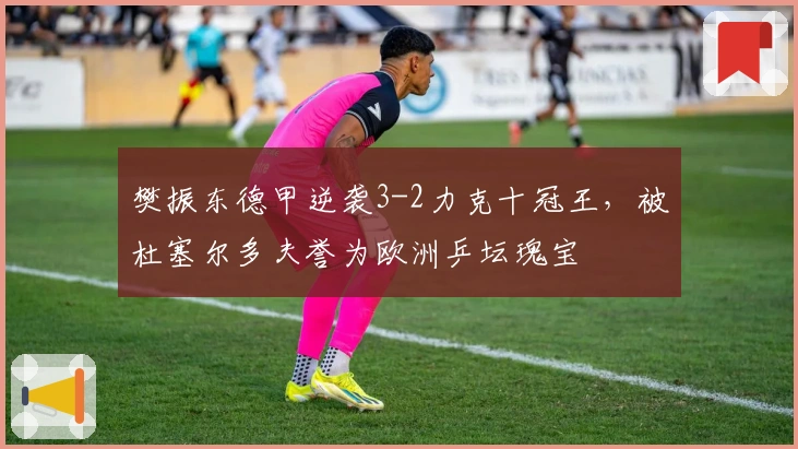 樊振东德甲逆袭3-2力克十冠王，被杜塞尔多夫誉为欧洲乒坛瑰宝